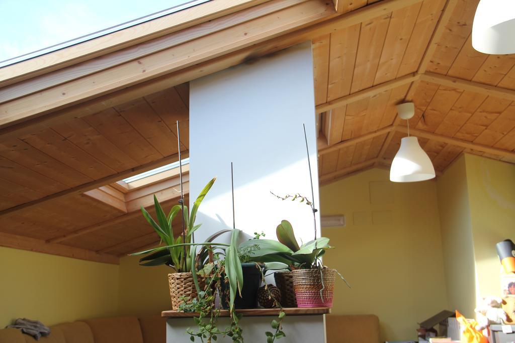 Hostel Curavacas Triollo Exterior photo